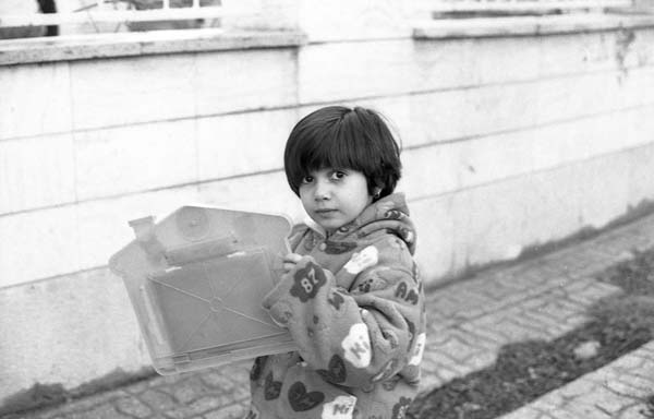ANALOGUE ARCHIVE